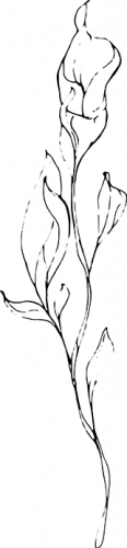 Mädchenkreis-Kursinhalte-1 Mädchenkreis-Kursinhalte-1